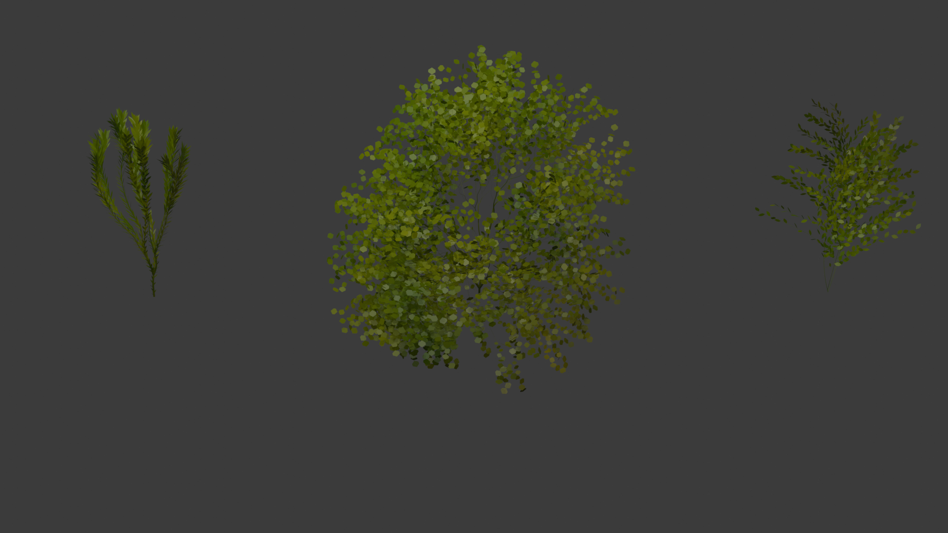 Arbre