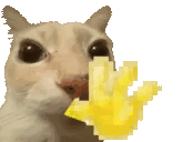 Hi gif